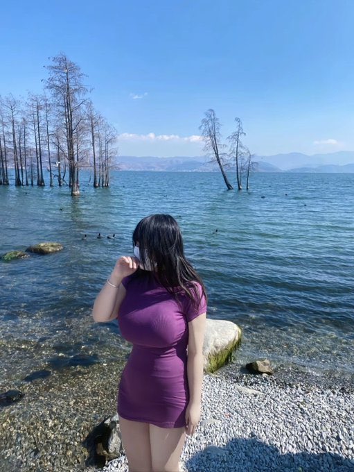 可是可可耶 tweet media