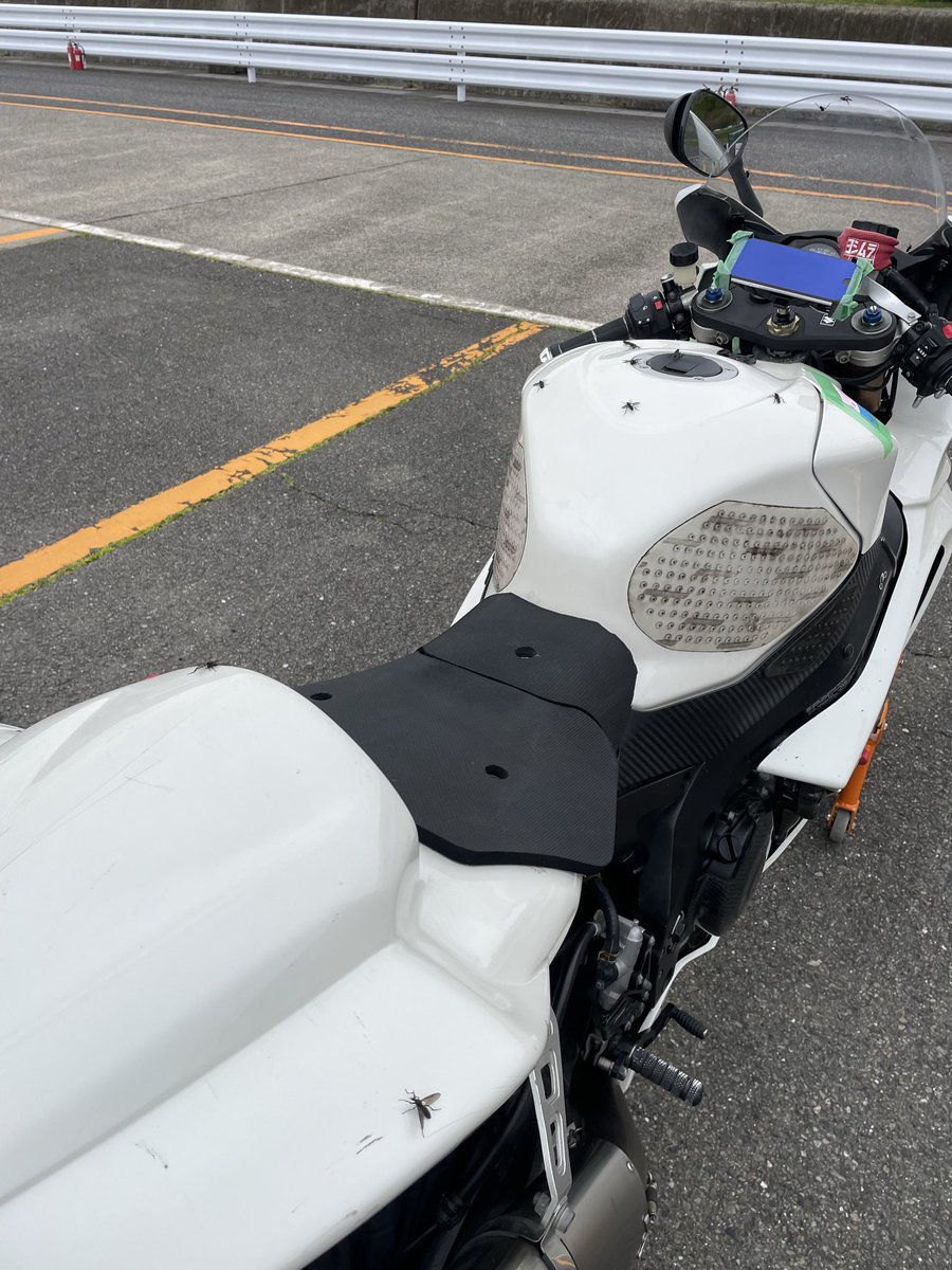Angel46634259's tweet photo. 僕のバイク虫に好評なようで https://t.co/CX6yGQuOph