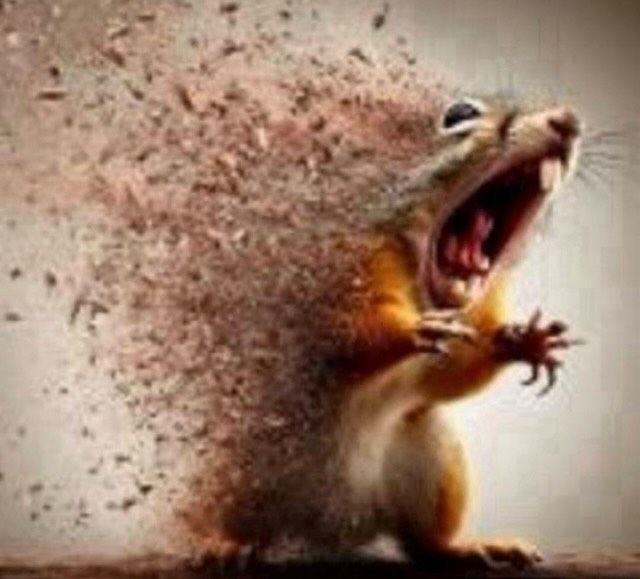 𝑀𝑖𝑛𝑘𝑦𝑙𝑢𝑐𝑘𝑦 ♥︎ tweet media