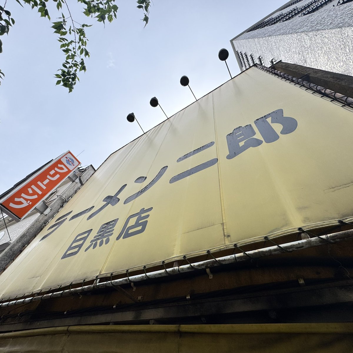 まるめ𝕏 tweet media