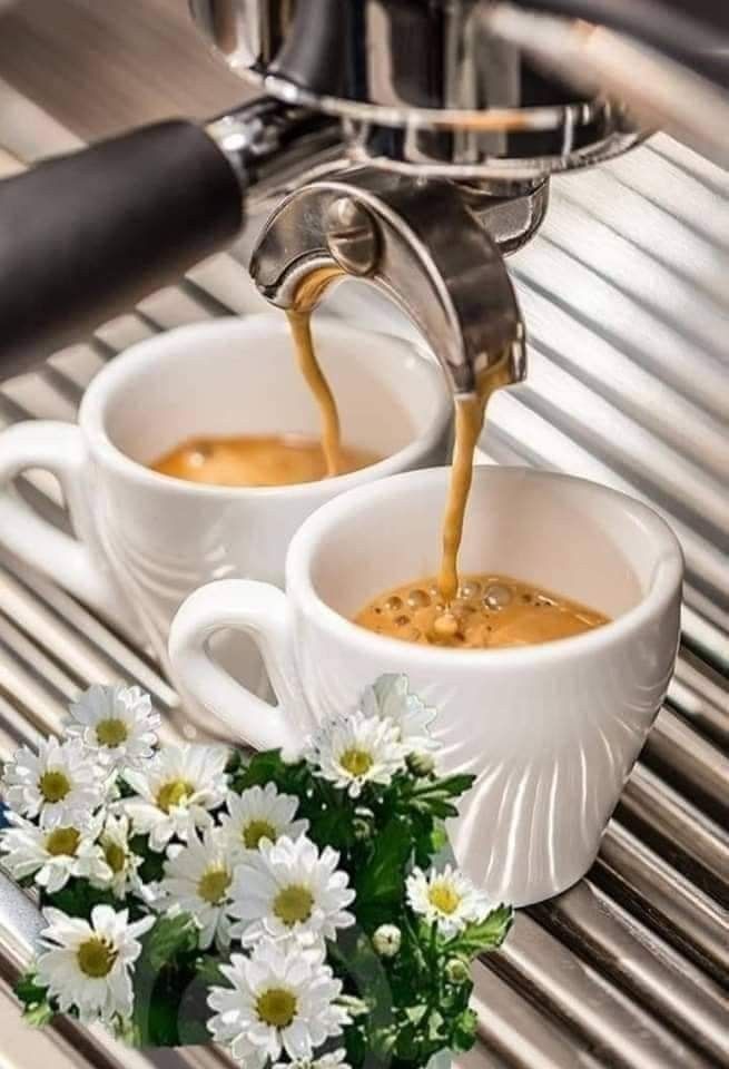 JosetteJ1's tweet image. Bonjour
@CassinDe23
@klingerlydie
@LisaLsalinger
@vivi7244 
@gregos73100
@66Jeafra  
Belle journée de vendredi les copinous 😘
Le café/thé se prépare 😉 
 ☕☕☕☕🍵☕☕☕☕
La semaine se termine 👍
 Météo 6° maxi 23°🔆😎
#Printemps 🌺🦋