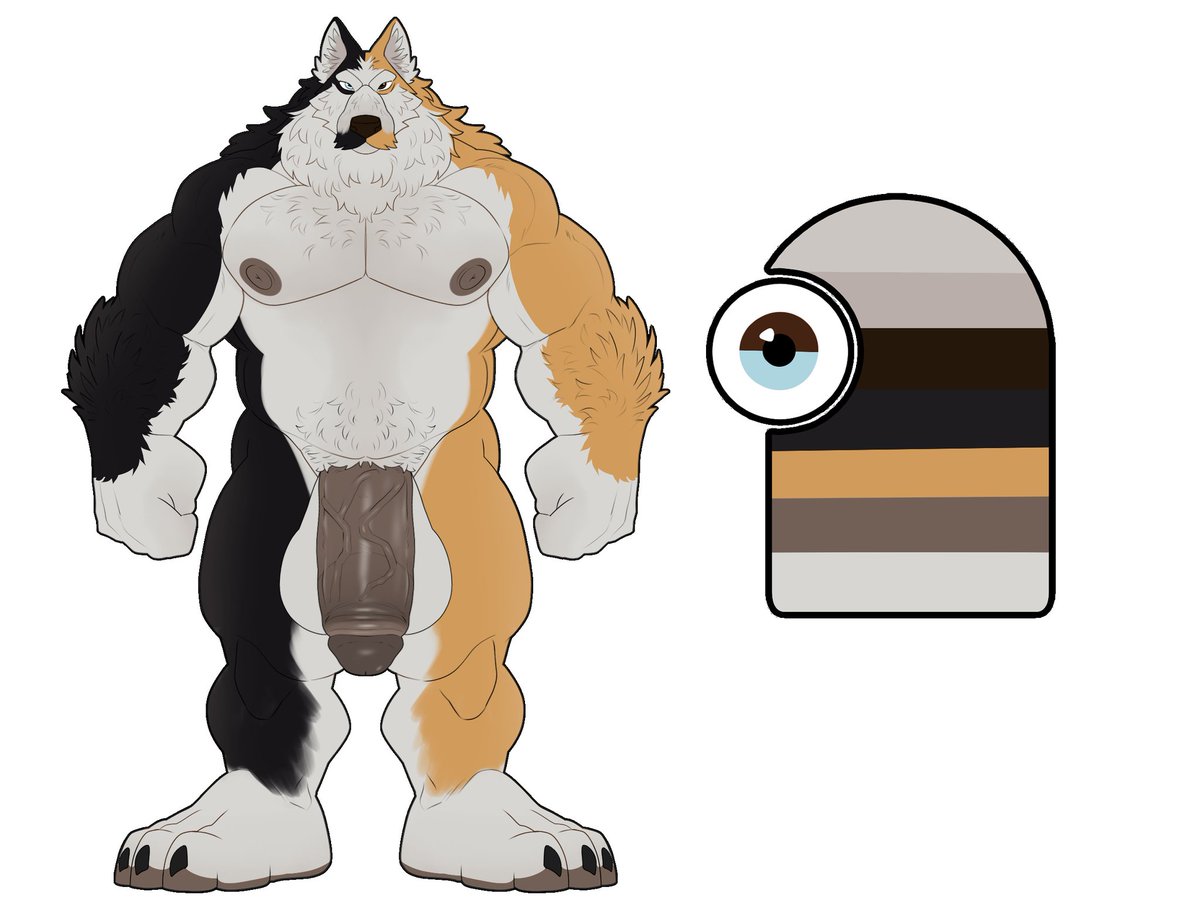Codawolf745's tweet photo. This is frankie ( adopted  from @NSF_Fluffle ) hes a bit different looking he's got that chimerism. he's 2 brothers in one. He's a good kid https://t.co/91m6XnP7la