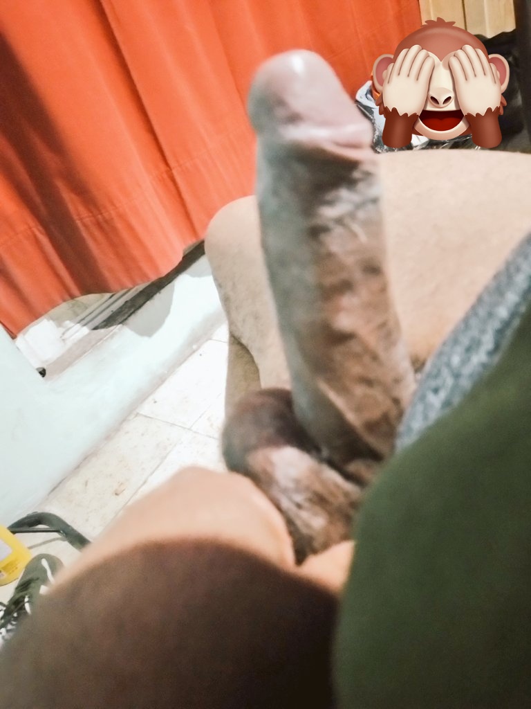 Gato Cariñoso tweet media