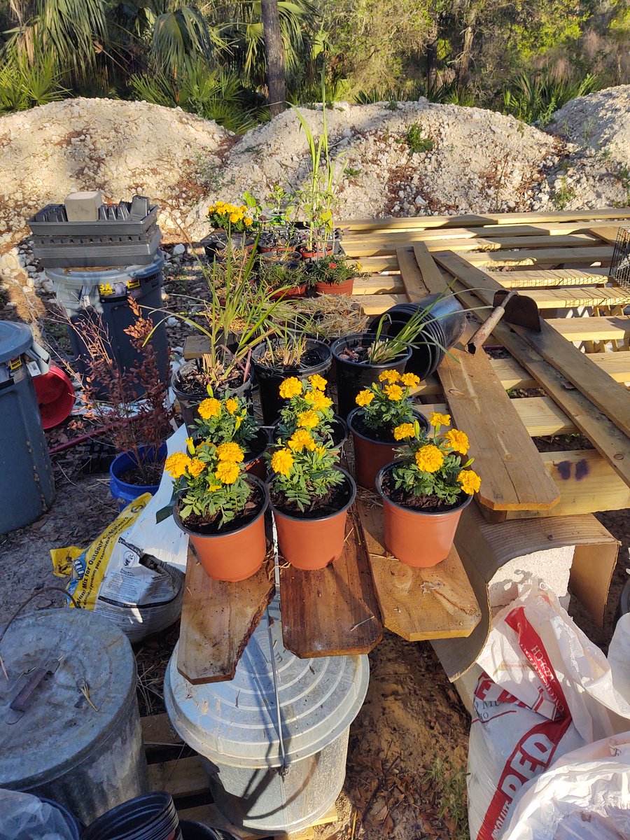I like playing with plants. They don't give me any lip.