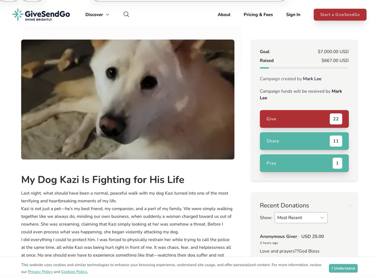 🚨 VIP: If you were effected financially along with the GiveSendGo campaign for this dog Kazi please contact our boots on the ground Portland Patriot Otso <a href="/otsofudo/">Otso</a> as soon as possible 🙏💖