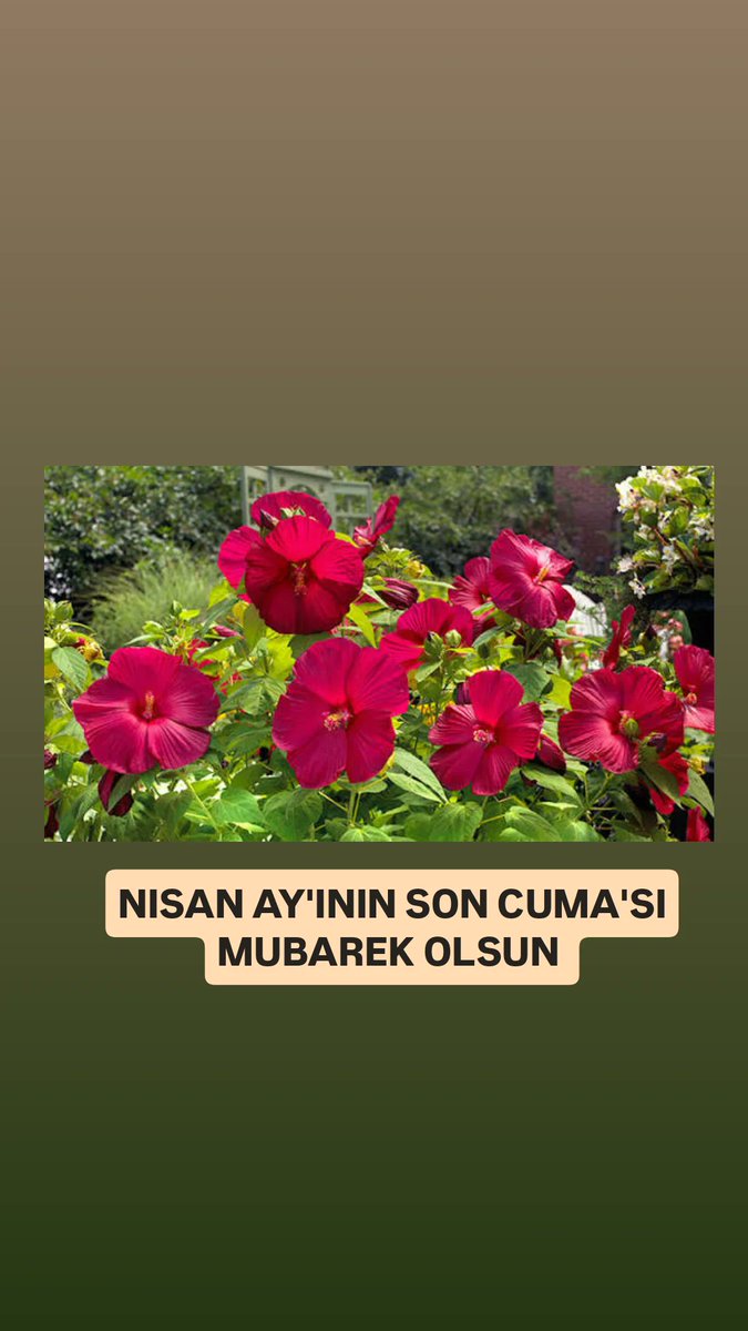 Güven Özdemir1841 tweet media