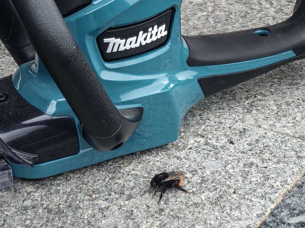 エルライツ tweet media