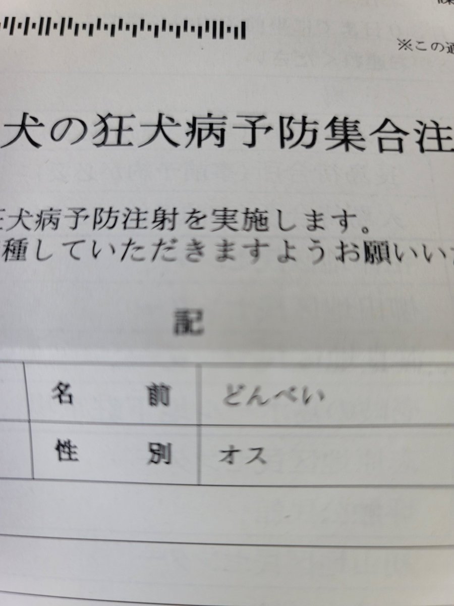 田舎もん🐃(牛飼い&ワーママ) tweet media