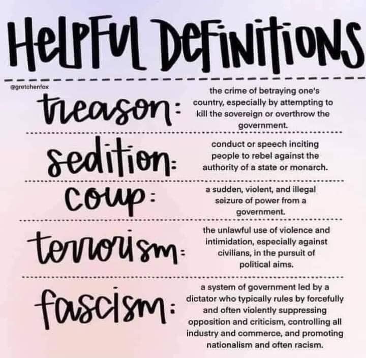 AndyWinston17's tweet image. How quickly you choose to forget. #January6th