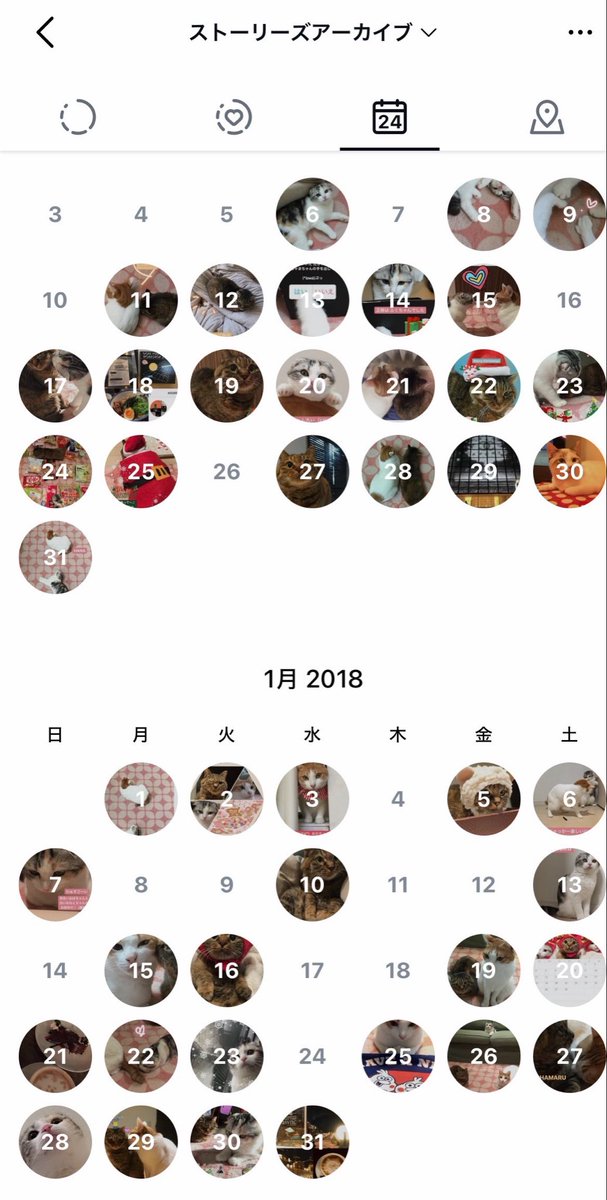 📷インスタも使用が変わって良くわからないけどカレンダー的なの可愛いね🤭ねこまみれ🐱💓ストリーアーカイブだって