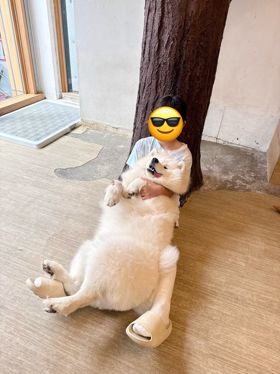 サカモト ヨコミチ tweet media
