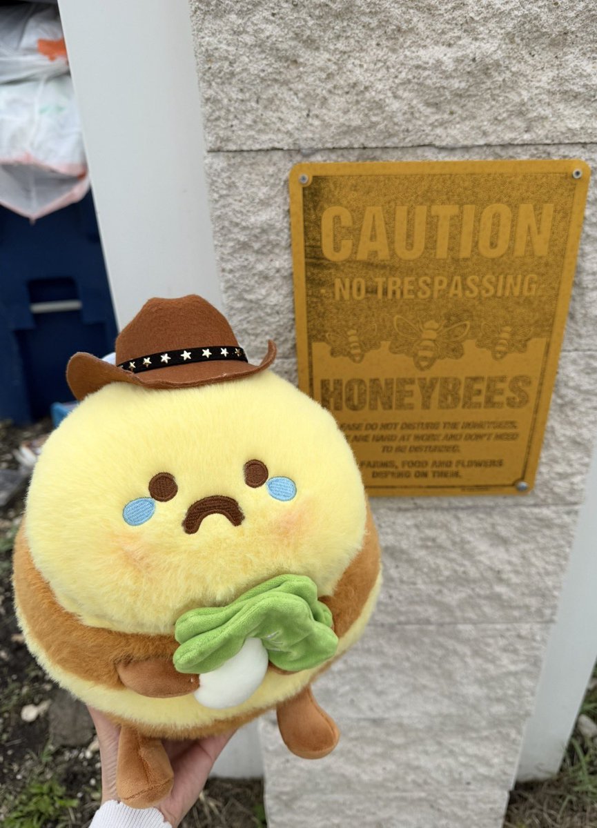 Amanogawa Shiina✂️✨Phase Connect tweet media