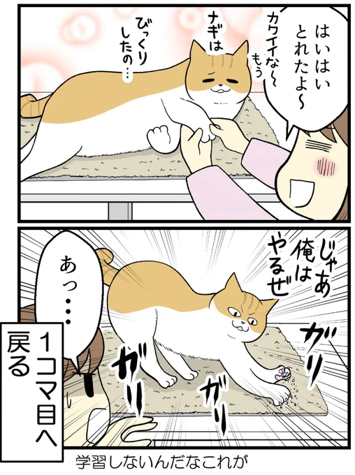 (2/2) 