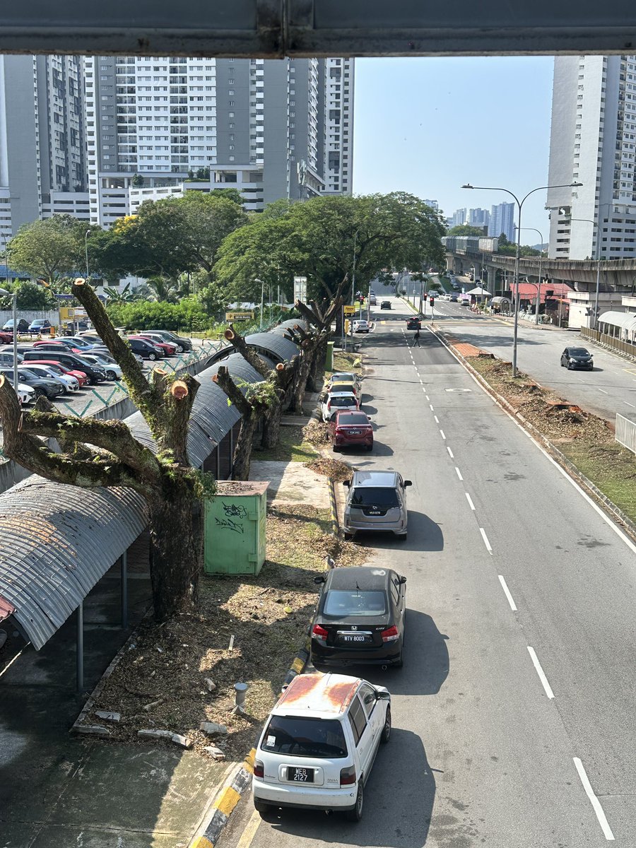 mcm mana KL tak panas kalau alam flora kita sana sini kena genocide. Takkan takde certified arborist ni main panggil kontraktor tebang pokok mcm kubur nenek kau je ke? 

Dah lah bandar tak mesra pejalan kaki sekarang bandar makin panas pulak.Shame on u <a href="/DBKL2u/">Dewan Bandaraya Kuala Lumpur</a>

📍LRT Taman Melati