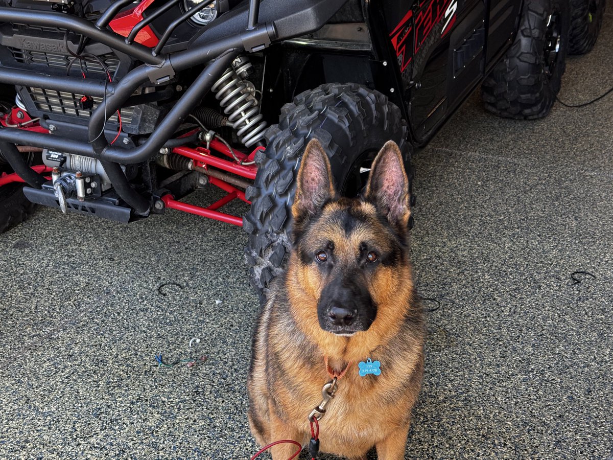 Rob Rimany tweet media