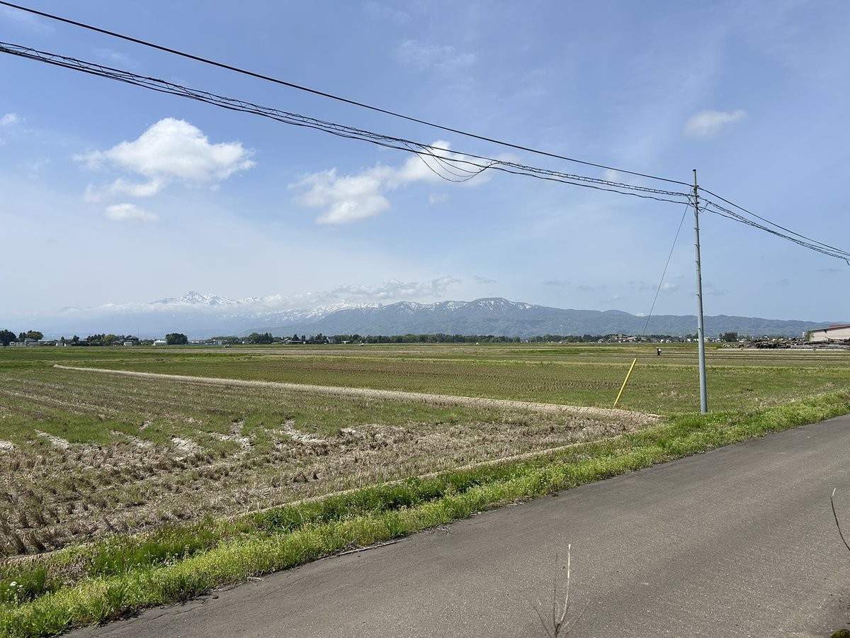 アイオライト tweet media