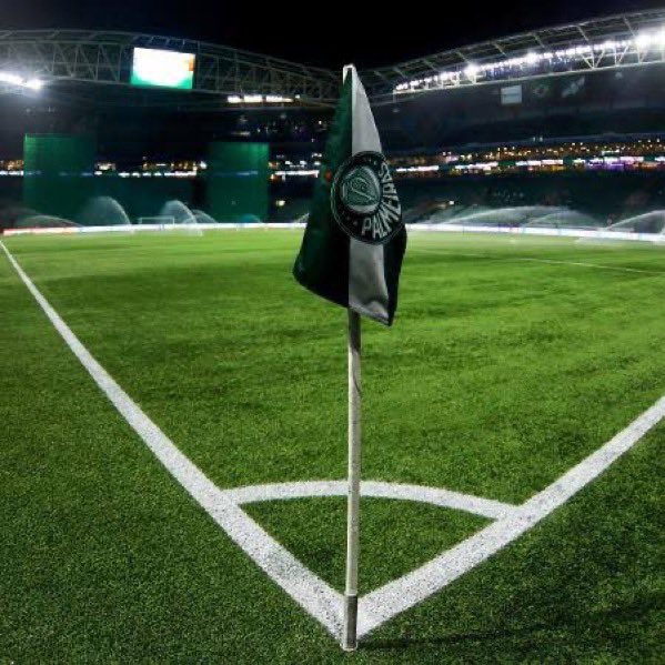 Gols do Brasileirão ⚽️🇧🇷 tweet media