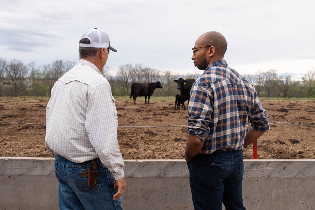 Christian Mitchell tweet media