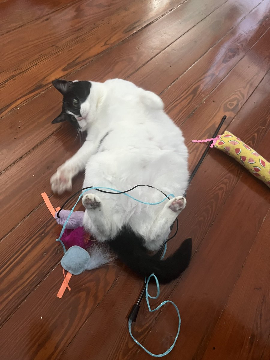 🅱️ABKA !! tweet media