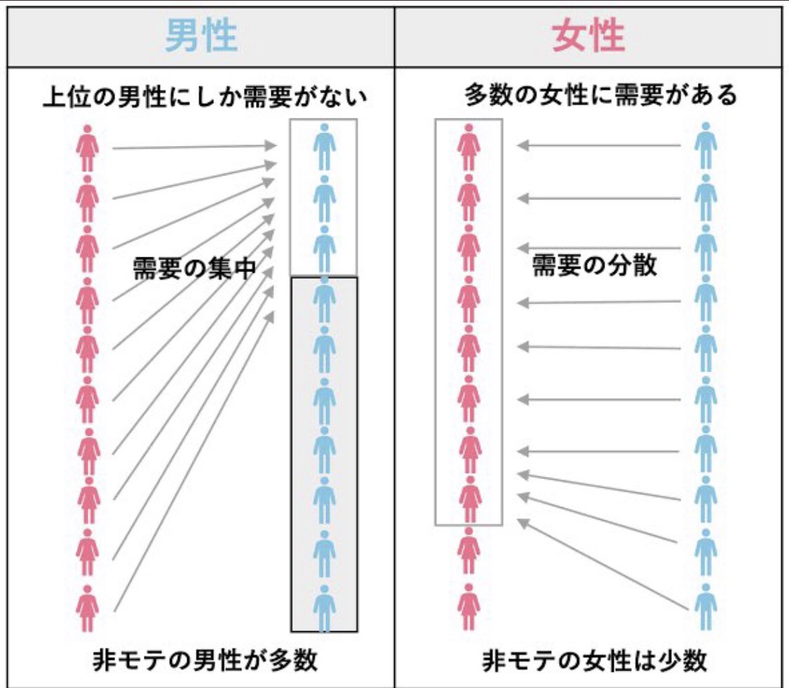ｺﾊ"ﾔｼ tweet media
