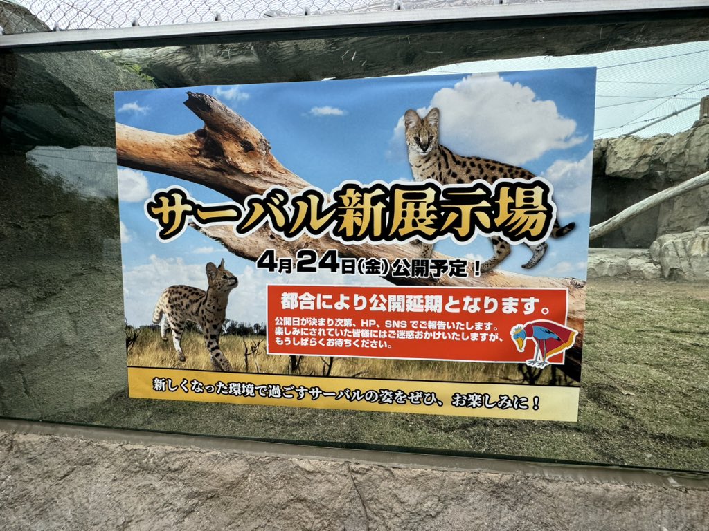 じおにゃん / GeoNyan tweet media