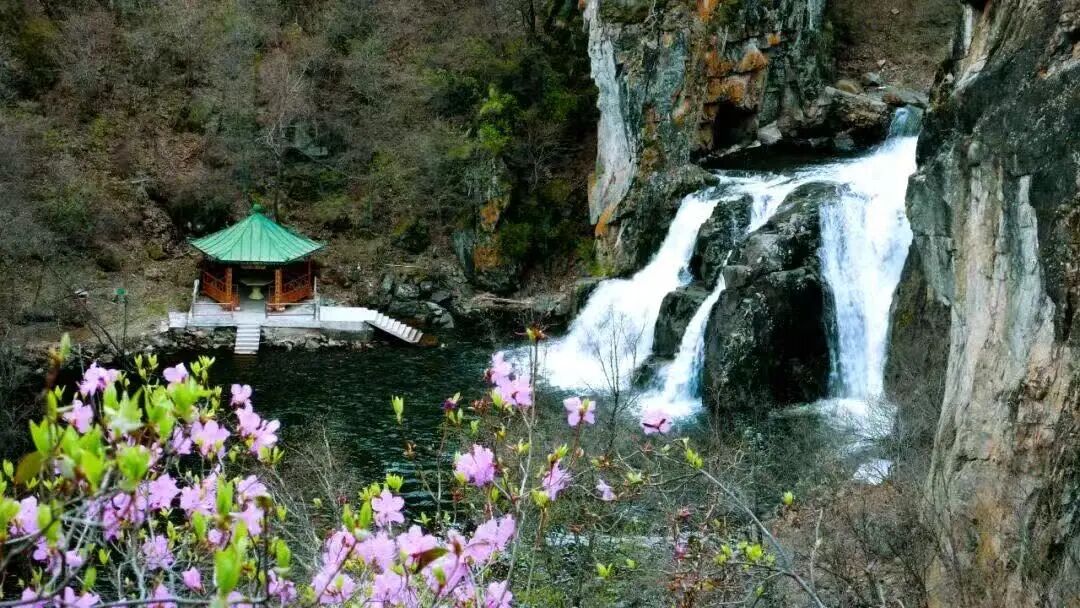visitheilongji1's tweet image. Spring days, mountain views, and a heart finally at ease 💛 Everything feels softer, lighter… like time slowed just for you.✨ Take a deep breath—this is Yichun, waiting to be discovered 🌱

#SpringVibe #HeilongjiangChina #ChinaTravel #NatureAdventure