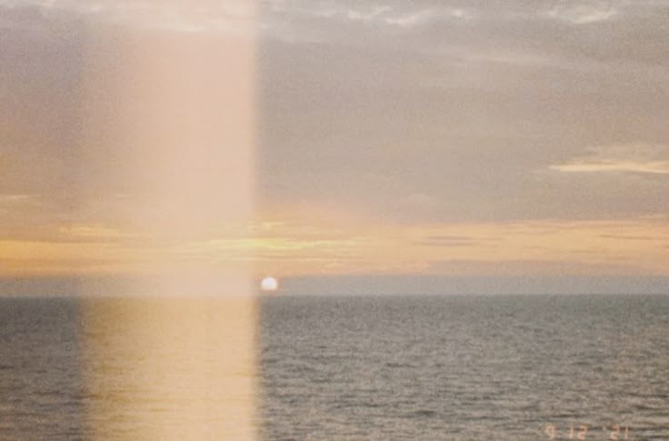 lei 🌻 tweet media