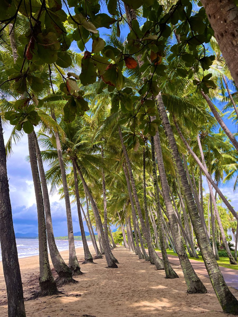 MagicAndPasta's tweet image. FriYAY 

In

The

Shire 🐬 

#LoveWhereYouLive

#FNQ 🏖️

#FriYAY 🥳🥳