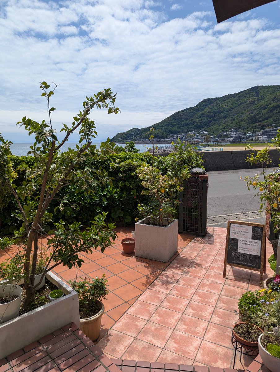 𝗰𝗮𝗳𝗲𝗛𝗔𝗠𝗔𝗧𝗦𝗨本店💫✨ tweet media