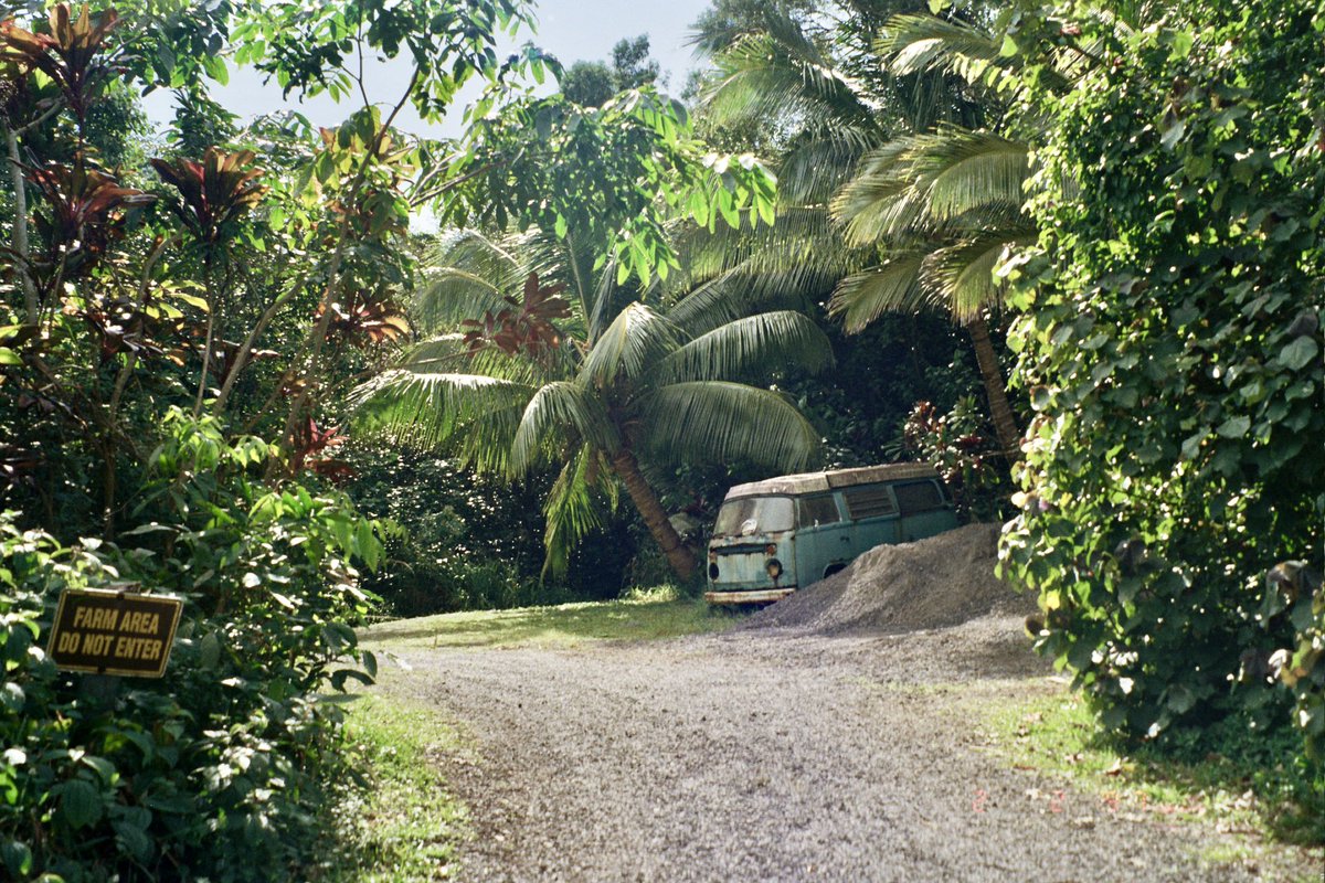 faylakavia's tweet photo. Some nice pics I took on film in Hawaii a few months ago that I feel like posting here rn https://t.co/ZmM22eRV7G