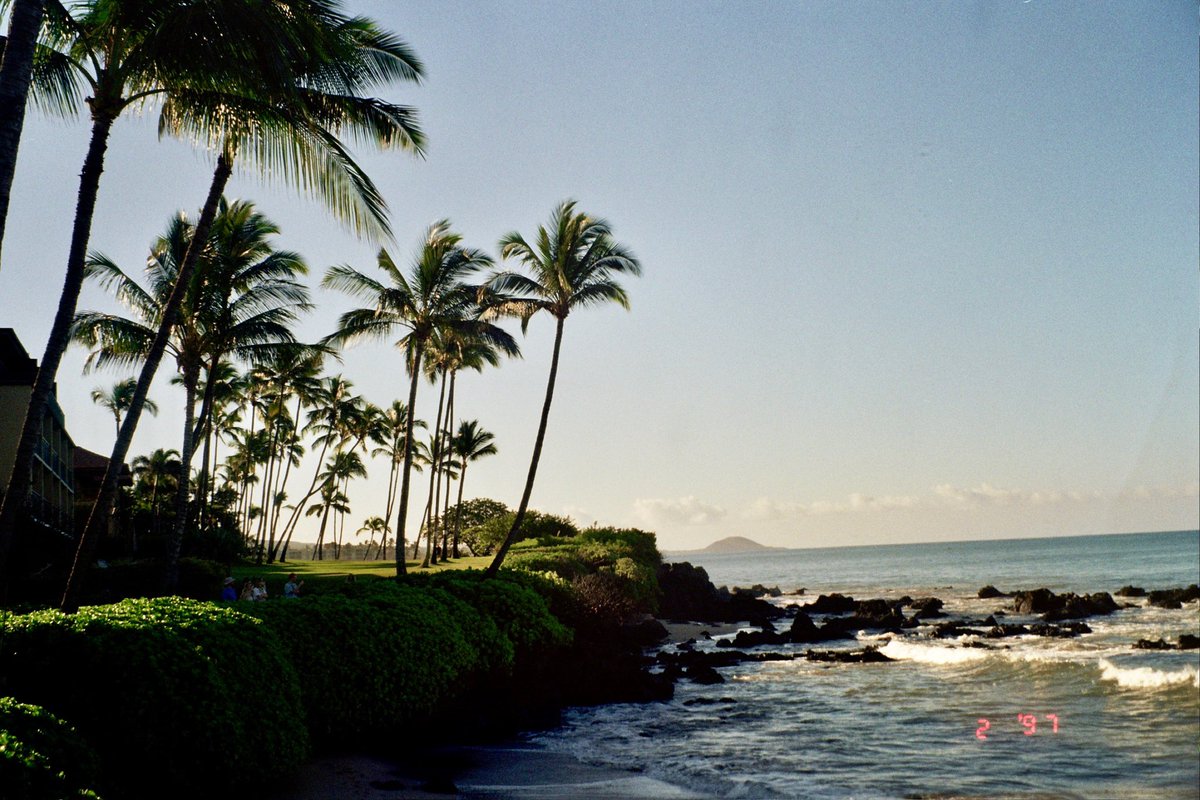 faylakavia's tweet photo. Some nice pics I took on film in Hawaii a few months ago that I feel like posting here rn https://t.co/ZmM22eRV7G