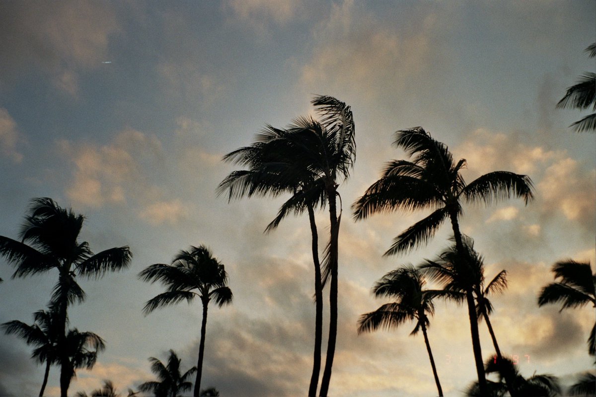 faylakavia's tweet photo. Some nice pics I took on film in Hawaii a few months ago that I feel like posting here rn https://t.co/ZmM22eRV7G