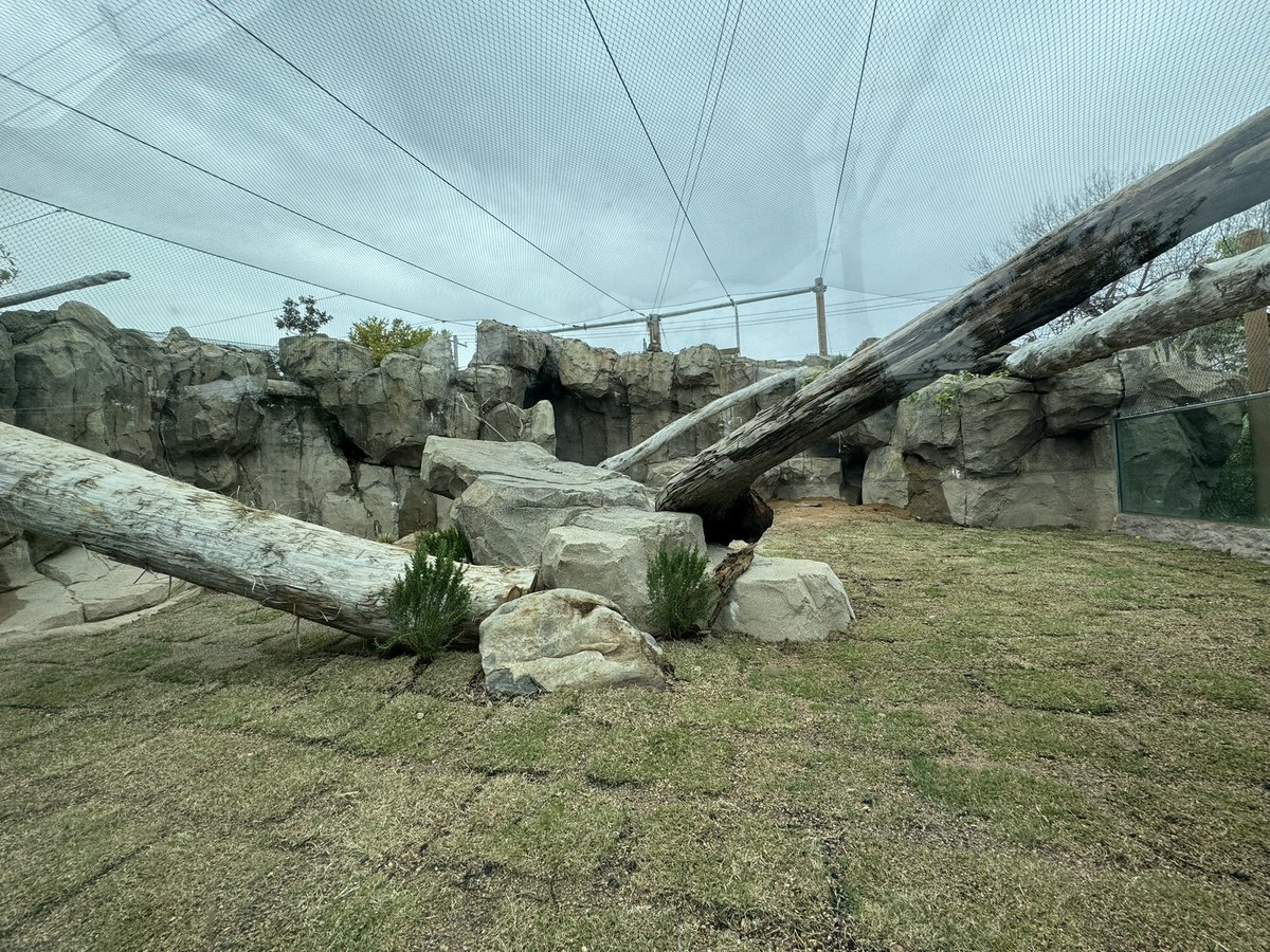 じおにゃん / GeoNyan tweet media