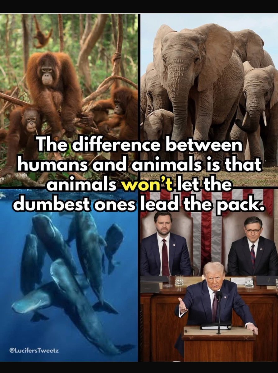 H J Vasquez Sr tweet media