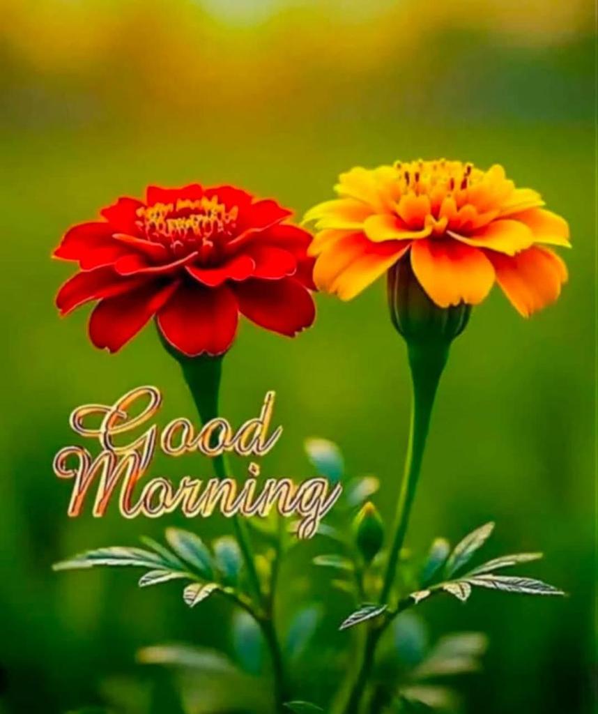 Shail59 tweet media