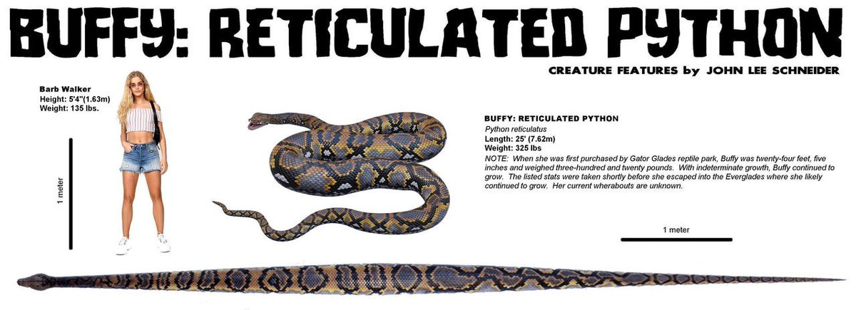 JLSCreatures's tweet image. mazon.com/stores/John-Le…………… #creaturefeature #horror #jurassic #sharks #crocodiles #dinosaurs #orcas #megalodon #monsters #johnleeschneider #severedpress #scifi #kindlebooks #jaws #blackfish #snake #venom #python #constrictor #ufo #BUFFY
173 ratings, 4.2 stars
CONSTRICTOR