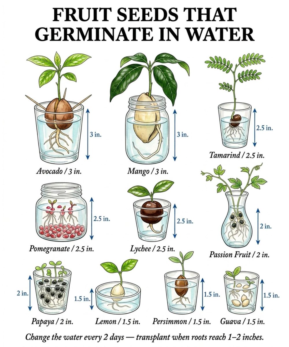 Jason Pepe 🇺🇸🦅 tweet media