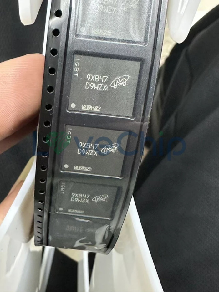 LoveChipSemi's tweet image. In Stock: MT61K512M32KPA-14:B

Manufacturer:
Micron

Package:
FBGA-180

Category:
Memory

Type: 
SGRAM - GDDR6 Memory

lovechip.com/product/in5819

#Memory #SGRAM #Micron #GDDR6 #electronics #semiconductors #lovechip