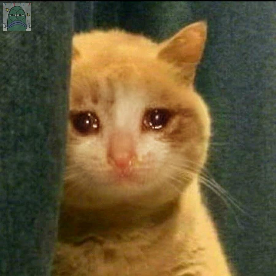 Tanyarlfes tweet media