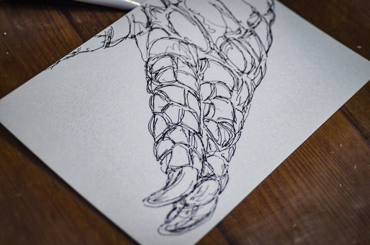 itreeee7's tweet photo. 本日も個展に向けてドローイングの制作中！いろんな鱗を描くの楽しい。

コビトカイマンの手🐊 https://t.co/w9NQgGoY4m