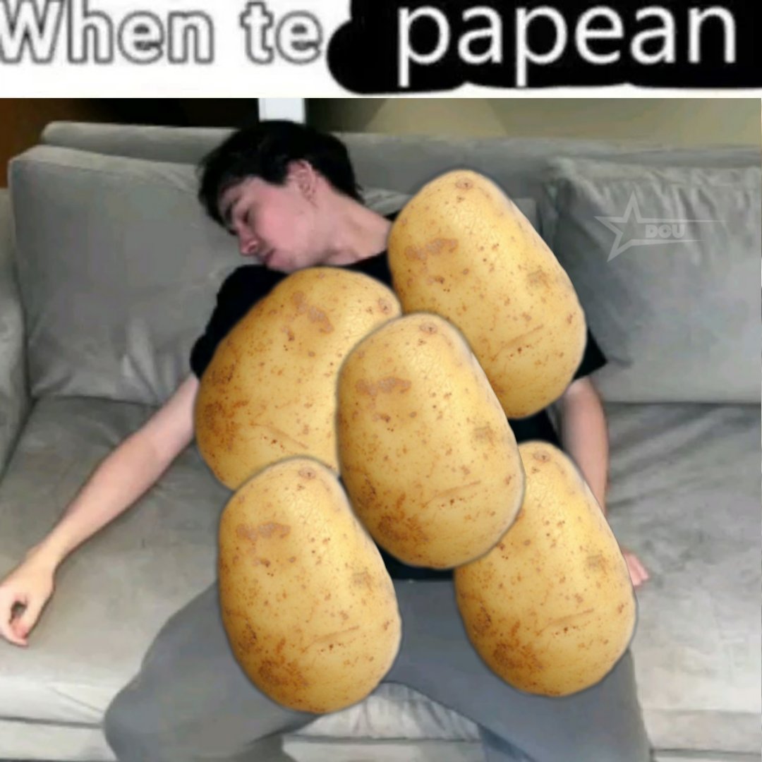 shitpost dúocappe (@shitpostcappe) on Twitter photo 