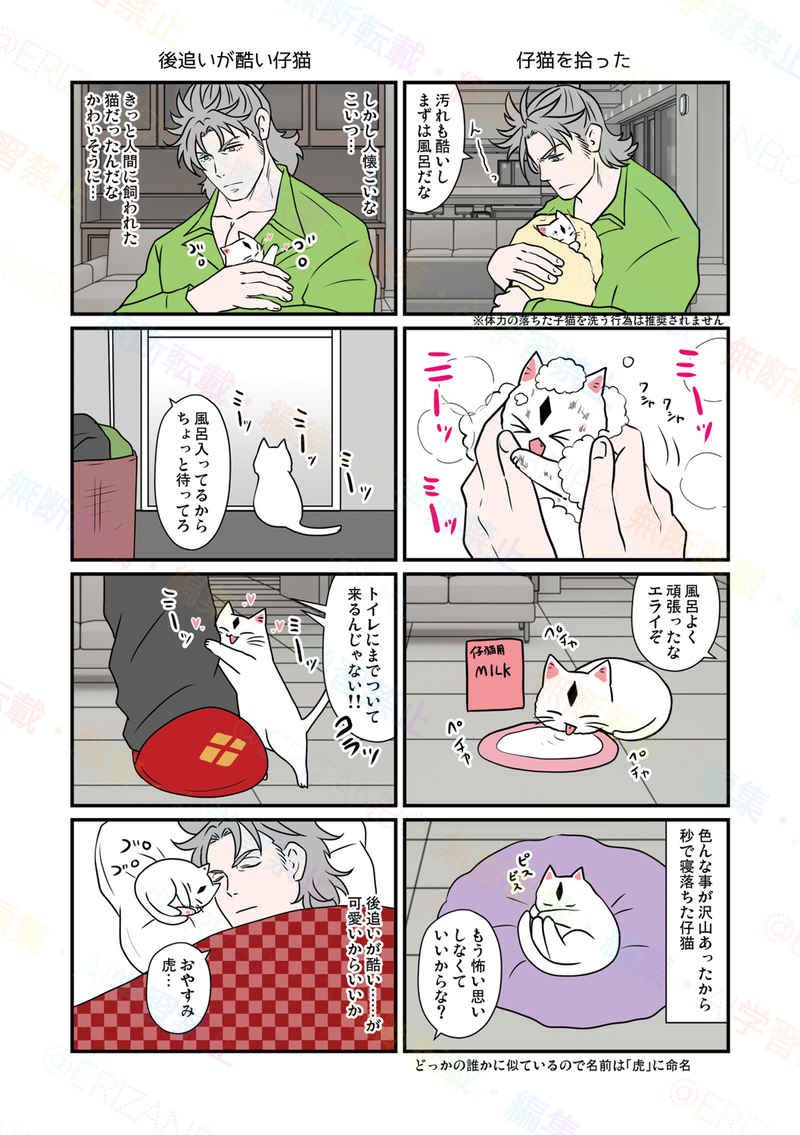 通販?】 ※規約改正に伴い短期間の受付となります。受付終了後とらの 