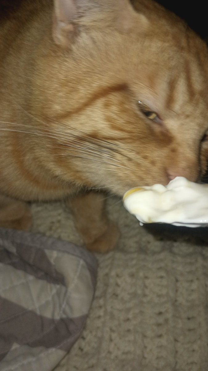 imwalkinghere tweet media