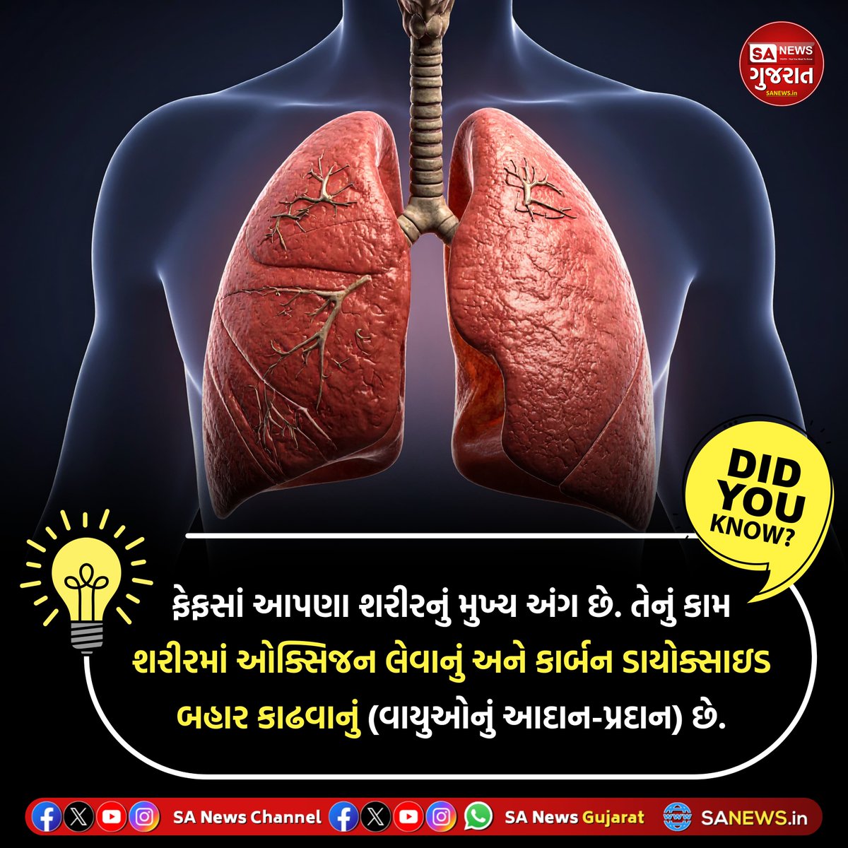 SANewsGujarat's tweet photo. શું તમે જાણો છો?
DID YOU KNOW!
#SANewsGujarat #SANews #Facts #GK #QUIZ #POLL #Generalscience #Factfull #viral #Viralfacts #TodayFacts #GeneralFacts https://t.co/yZoPdQkwMJ