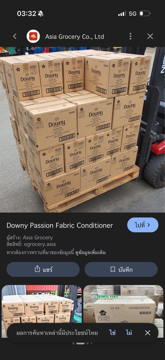 Pyna Bunny tweet media