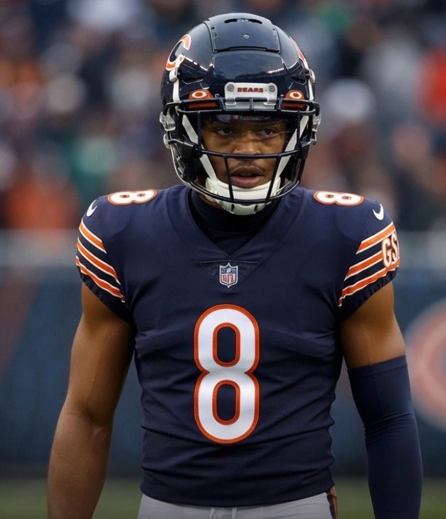 BearsMuse tweet media