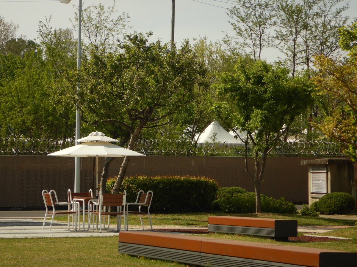 두마출 tweet media