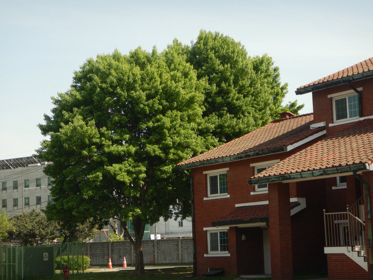 두마출 tweet media