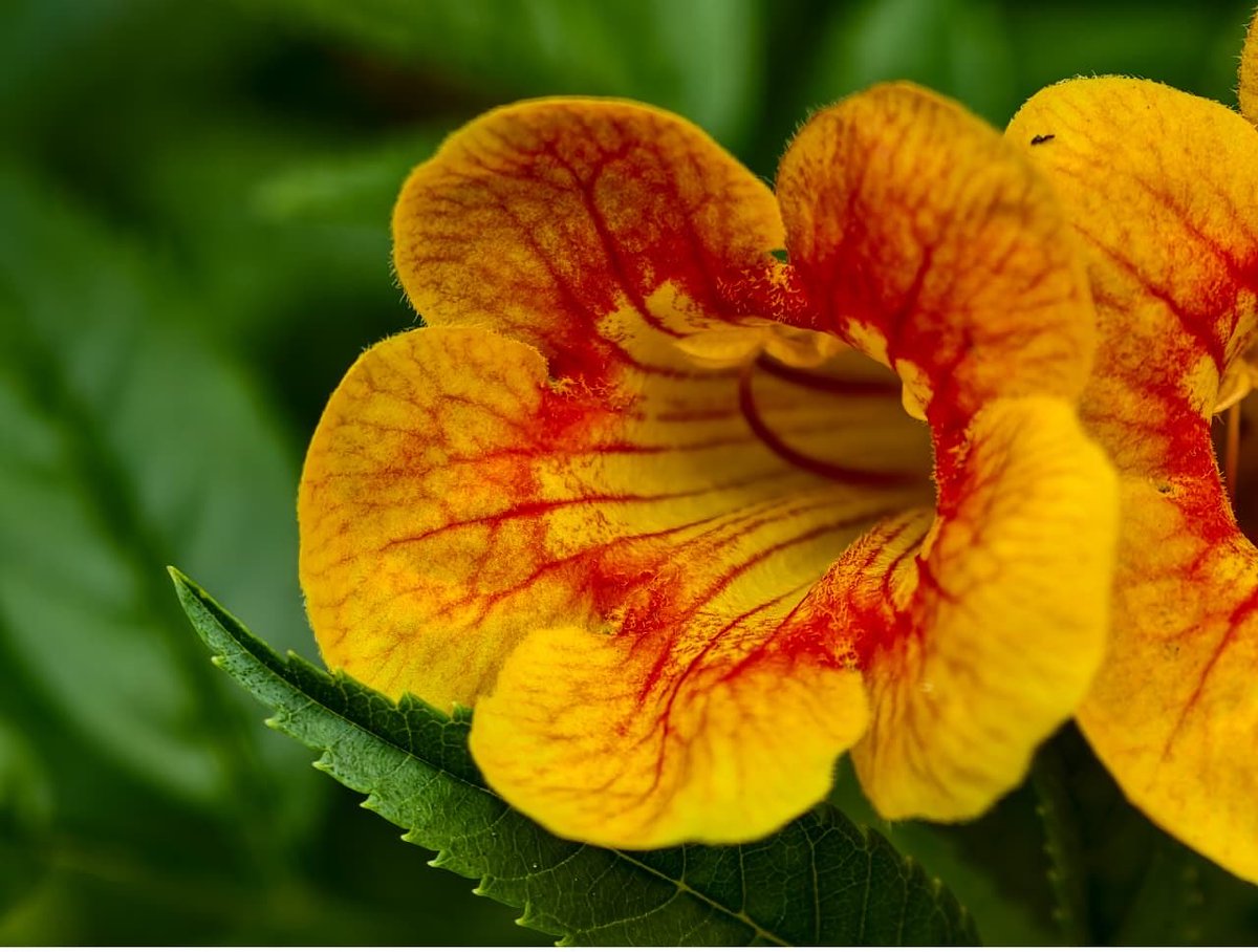 Yagnesh 🇮🇳 tweet media