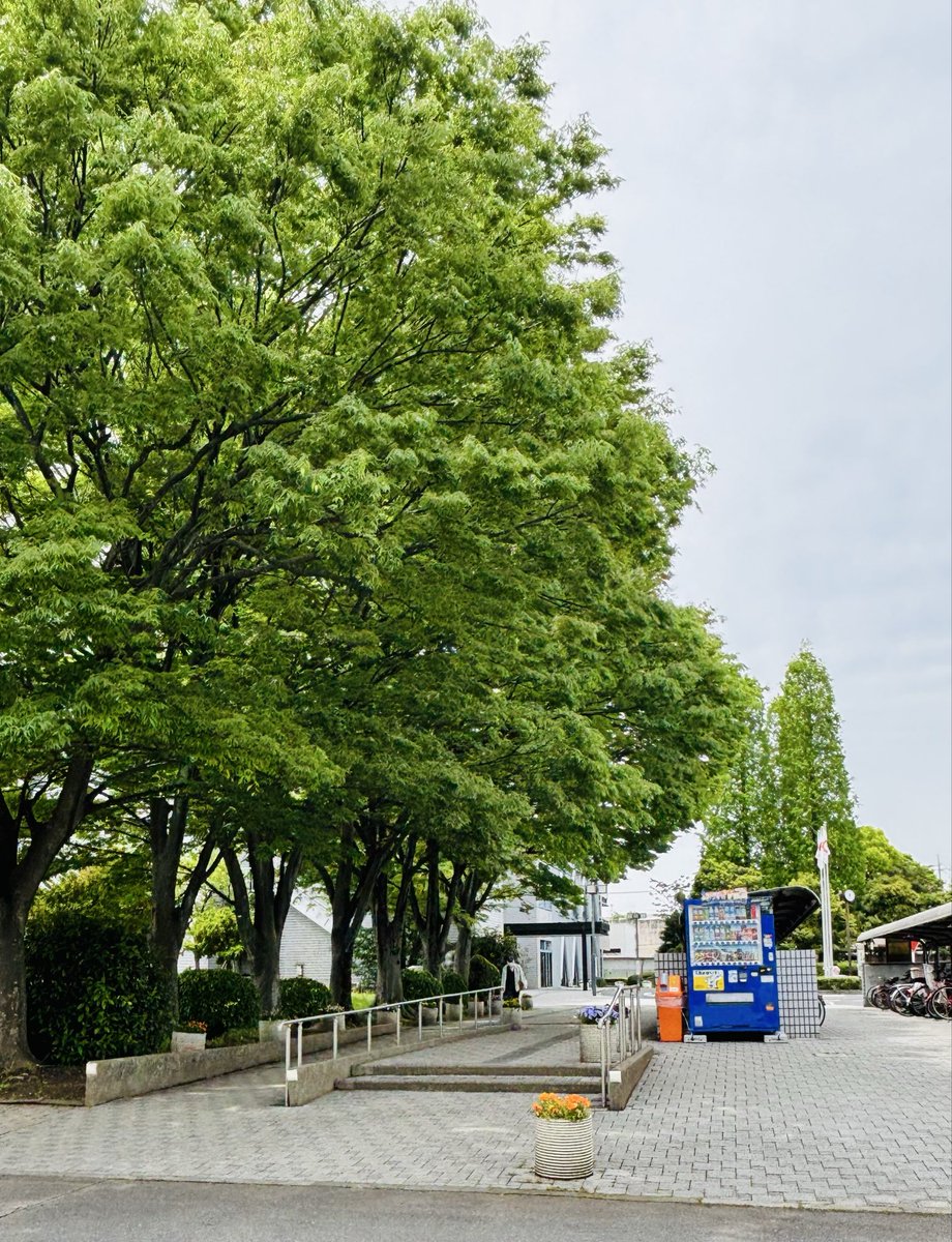 和のお釜めしIII tweet media